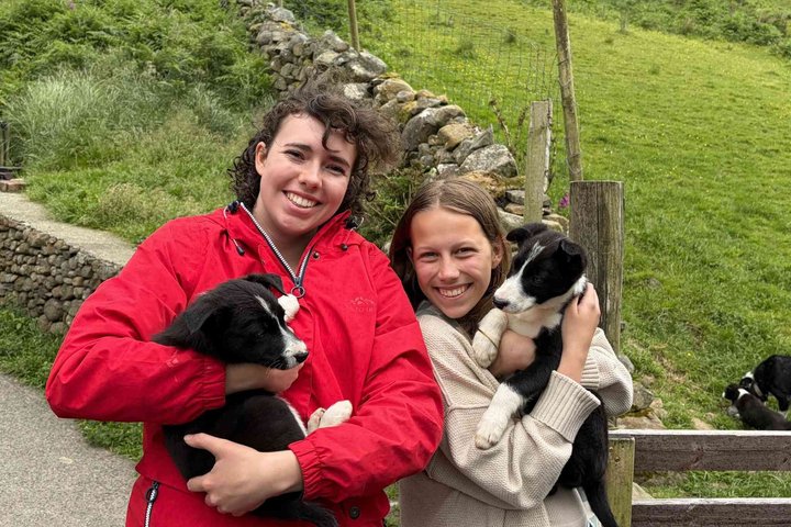 Kleine Gruppe Kylemore Abbey, Sheepdog Demo & Connemara Tour