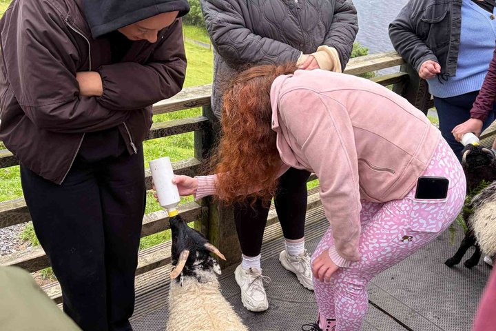 Kleine Gruppe Kylemore Abbey, Sheepdog Demo & Connemara Tour
