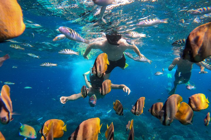 Journée complète Nusa Penida Island avec plongée au départ de Bali