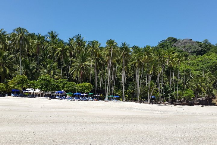 Tour di un giorno in catamarano all inclusive a Tortuga Island