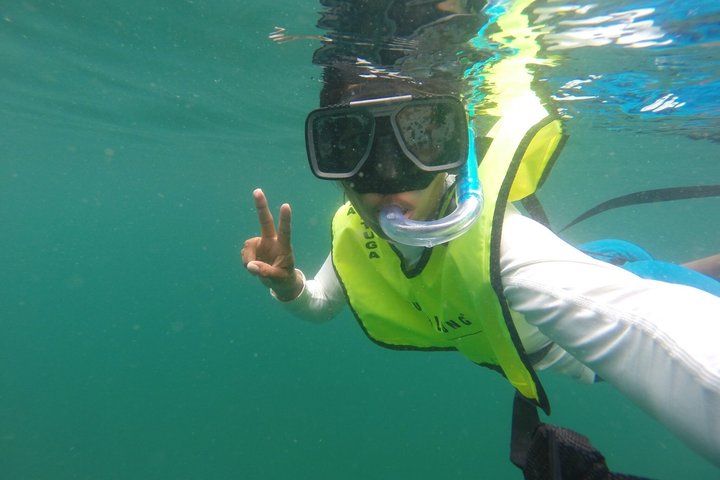 Tour di un giorno in catamarano all inclusive a Tortuga Island