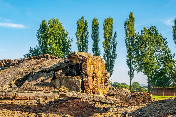 Oswiecim Auschwitz-Birkenau Museum med lyd Vejleder Ingen billet