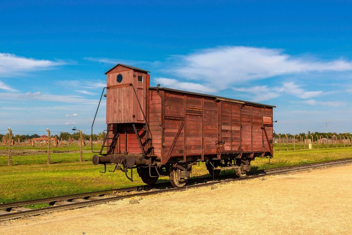 Oswiecim Auschwitz-Birkenau Museum med lyd Vejleder Ingen billet