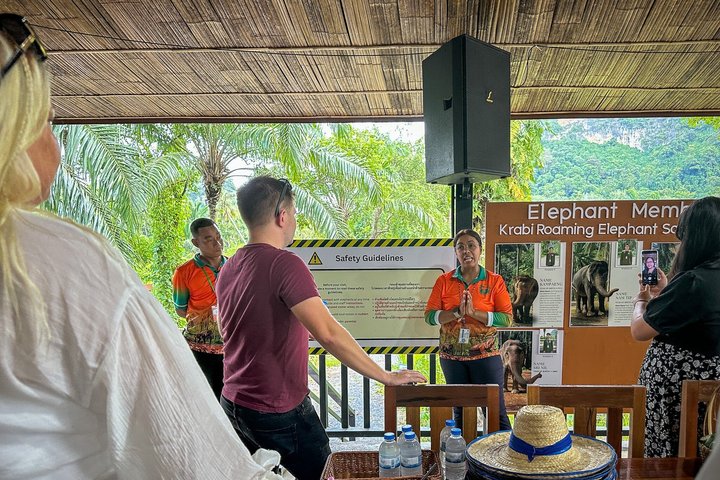 Highlight de meio dia com elefantes (NO-Touching) em Ao Nang