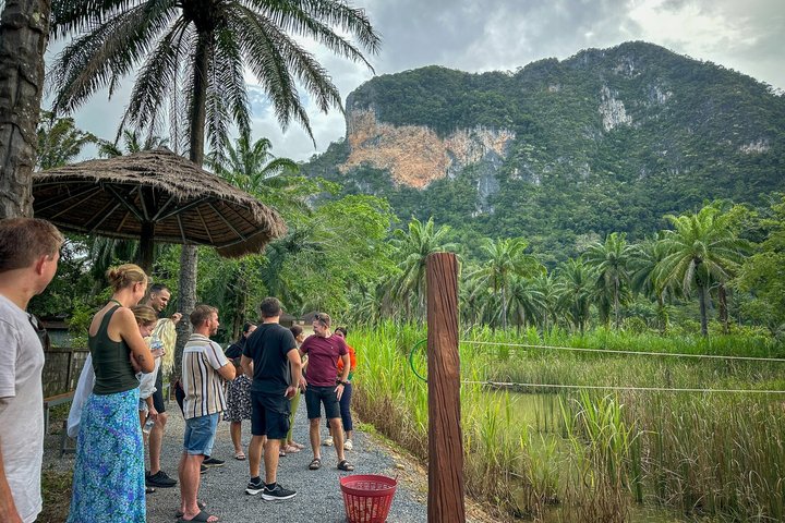 Highlight de meio dia com elefantes (NO-Touching) em Ao Nang