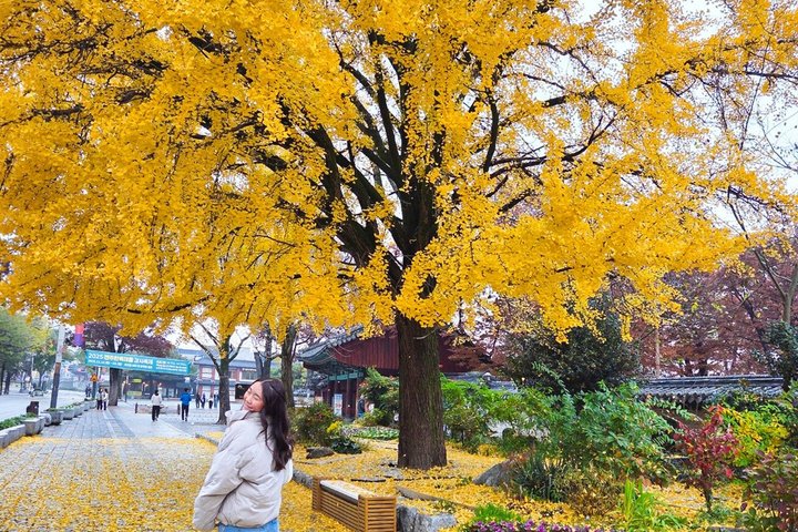 Jeonju Hanok Village Heldagstur: Jangtaesan Green Forest