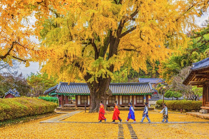 Jeonju Hanok Village Heldagstur: Jangtaesan Green Forest