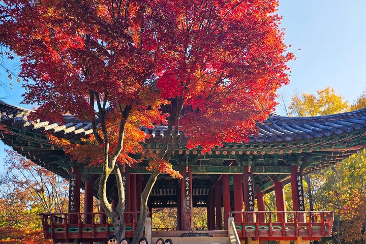 Jeonju Hanok Village Heldagstur: Jangtaesan Green Forest