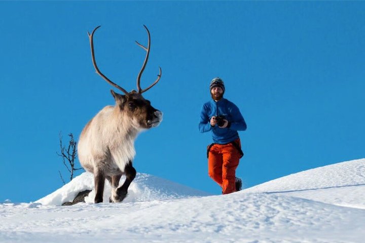 Tromsø : Excursion dans le fjord arctique à Sommarøy avec pique-nique panoramique