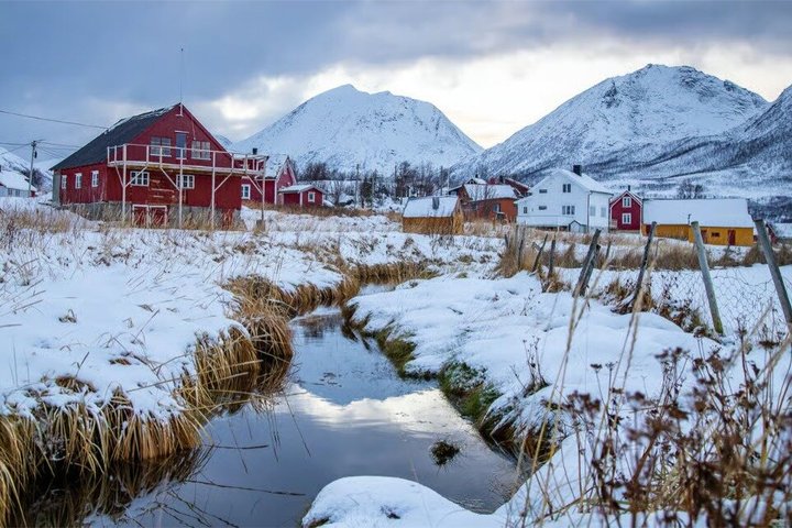Tromsø : Excursion dans le fjord arctique à Sommarøy avec pique-nique panoramique