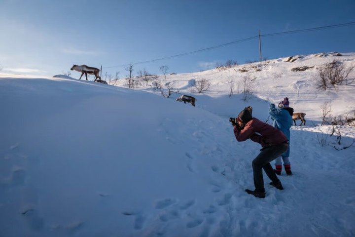 Tromsø : Excursion dans le fjord arctique à Sommarøy avec pique-nique panoramique