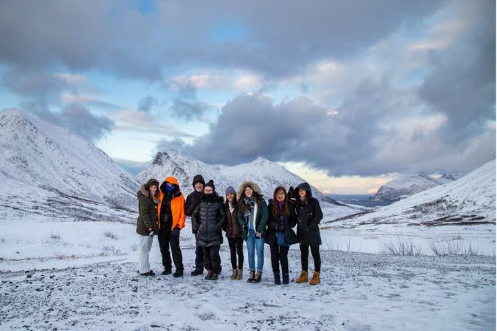 Tromsø : Excursion dans le fjord arctique à Sommarøy avec pique-nique panoramique
