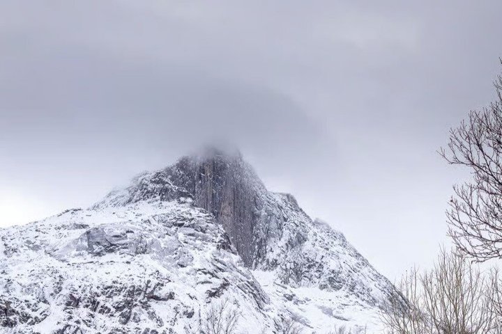 Tromsø : Excursion dans le fjord arctique à Sommarøy avec pique-nique panoramique