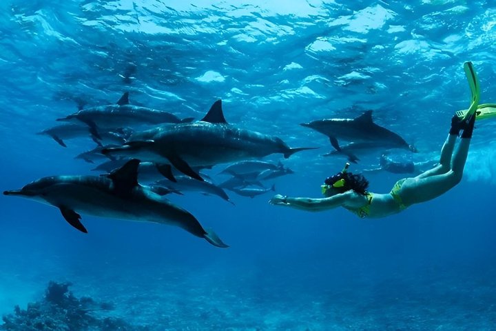 Snorkeling de día completo en el norte de Zanzíbar, tortugas y puesta de sol