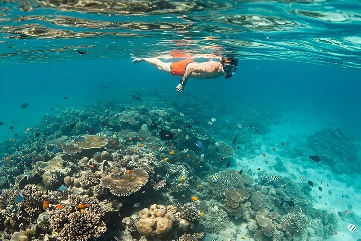 Snorkeling de día completo en el norte de Zanzíbar, tortugas y puesta de sol