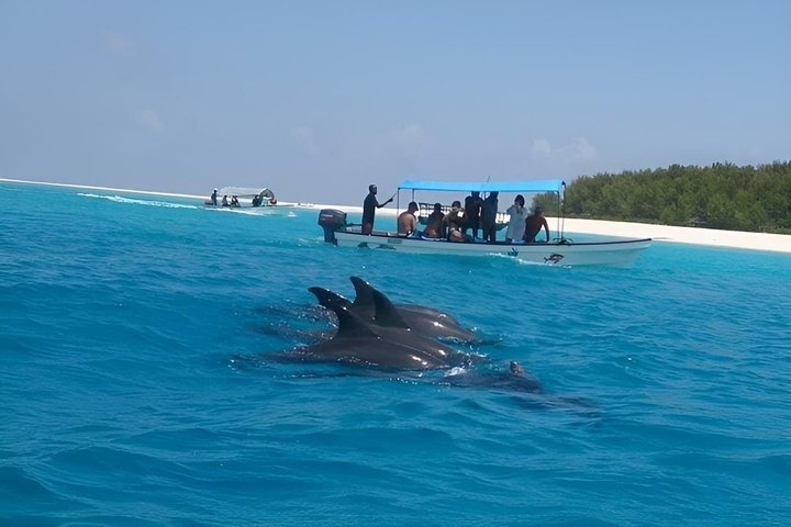 Snorkeling de día completo en el norte de Zanzíbar, tortugas y puesta de sol