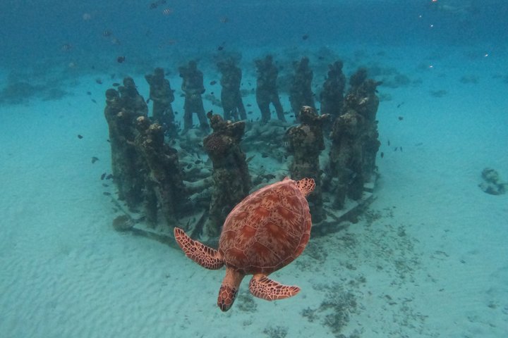 Tour privado de buceo Gili : Tortugas, Arrecifes + GoPro & Drone
