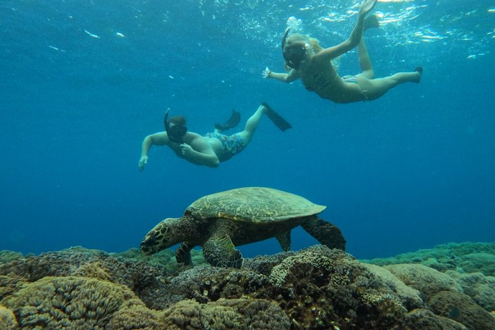 Tour privado de buceo Gili : Tortugas, Arrecifes + GoPro & Drone