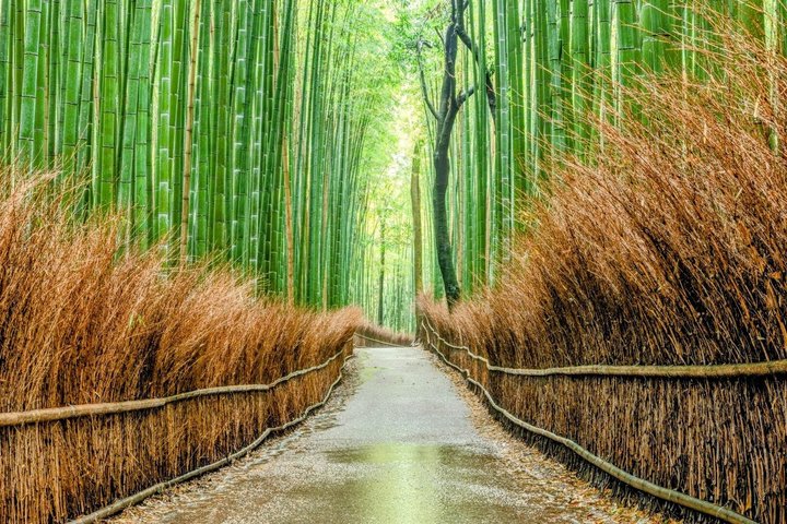 10 must-see plekken in Kyoto Eendaagse privétour