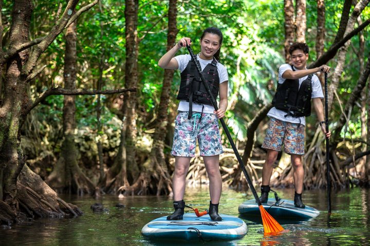 SUP ou canoë dans la mangrove d'Ishigaki + plongée avec tuba dans la Grotte Bleue