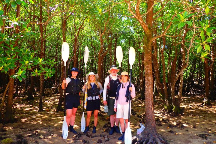 SUP ou canoë dans la mangrove d'Ishigaki + plongée avec tuba dans la Grotte Bleue