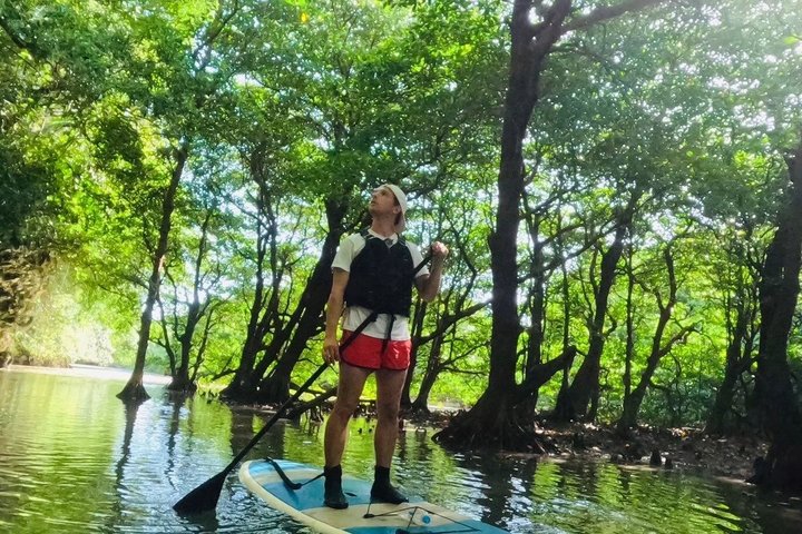 SUP ou canoë dans la mangrove d'Ishigaki + plongée avec tuba dans la Grotte Bleue