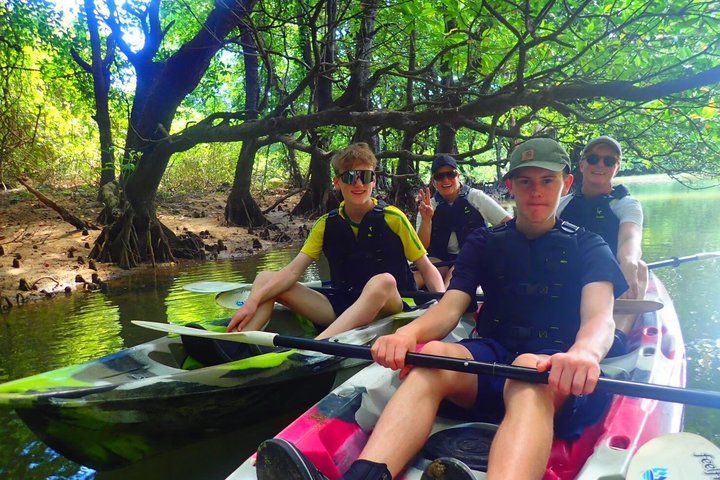 SUP ou canoë dans la mangrove d'Ishigaki + plongée avec tuba dans la Grotte Bleue