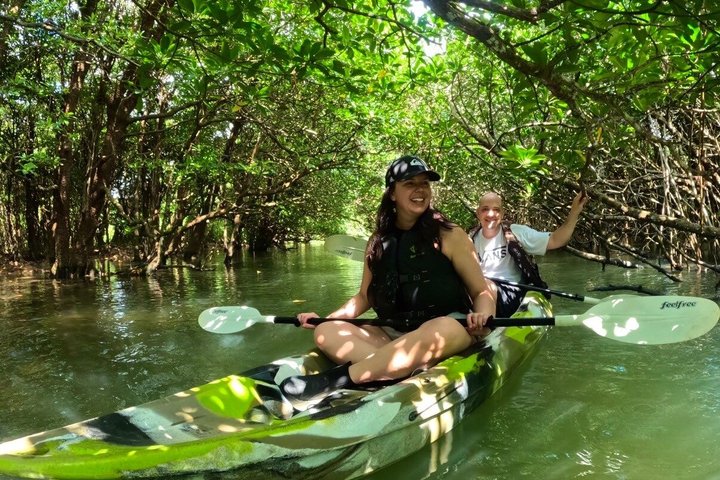 SUP ou canoë dans la mangrove d'Ishigaki + plongée avec tuba dans la Grotte Bleue