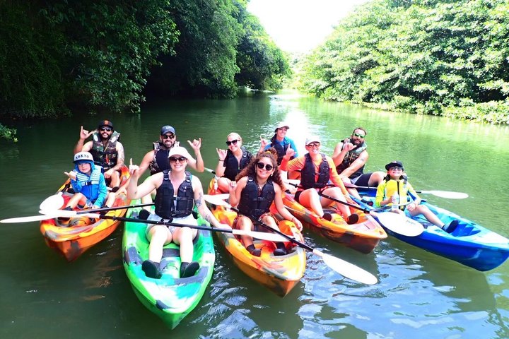 SUP ou canoë dans la mangrove d'Ishigaki + plongée avec tuba dans la Grotte Bleue