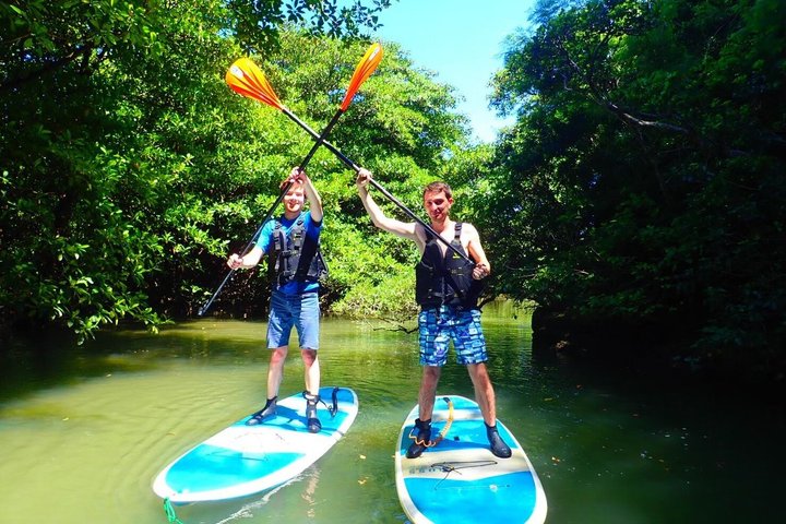 SUP ou canoë dans la mangrove d'Ishigaki + plongée avec tuba dans la Grotte Bleue