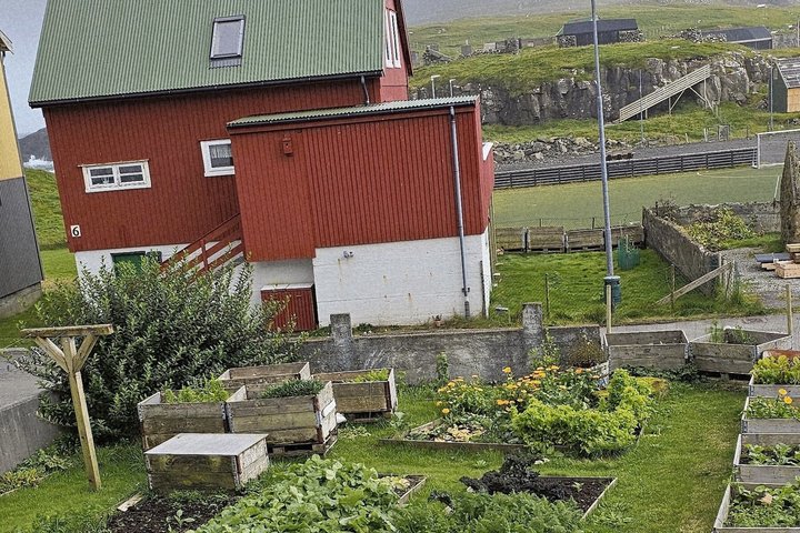 Classe de culinária faroense em Nólsoy perto de Tórshavn com Maud