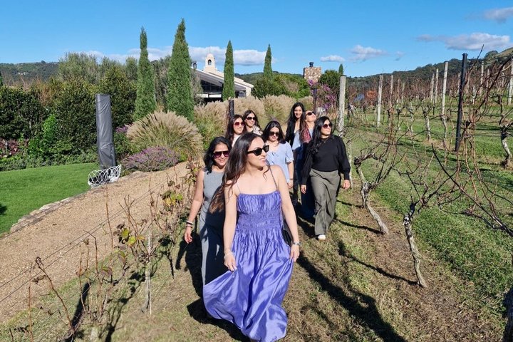 Auckland : Waiheke Island Scenic Tour 4 vingårder, lokale guider