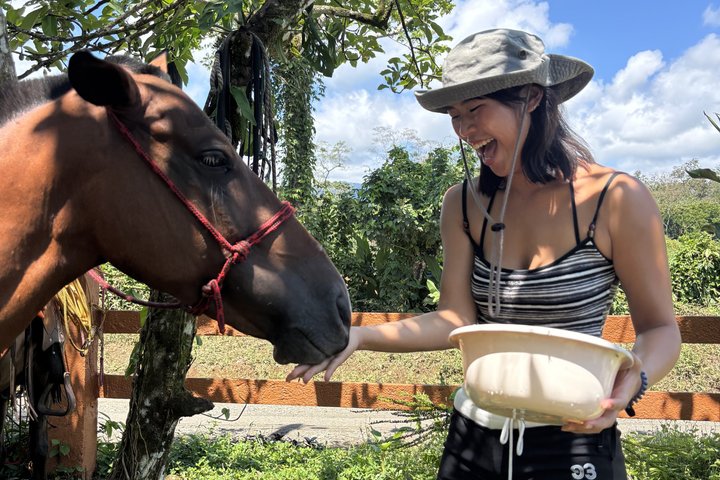 Horseback Riding Adventure i La Fortuna med River Crossings