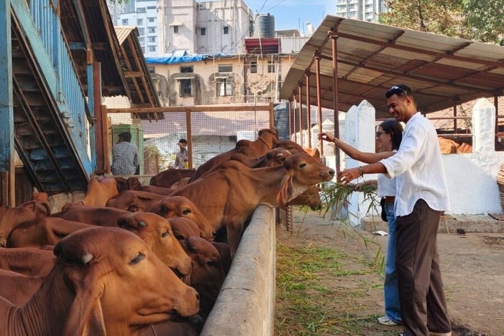 Visites privées de Mumbai en voiture d'une journée / demi-journée