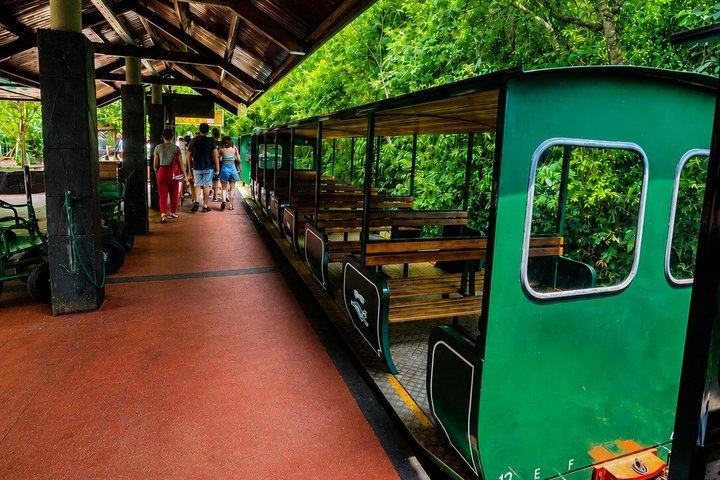 Iguazu Falls: Complete Argentine Side Experience