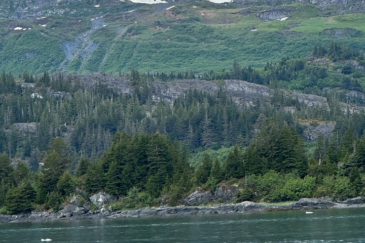 Croisière panoramique Prince William Sound avec café ou charcuterie