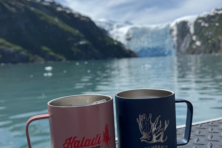 Croisière panoramique Prince William Sound avec café ou charcuterie