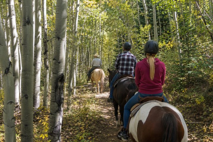 Hoteller i nærheden af Scenic Wasatch Mountain Horseback Ride