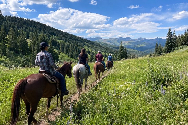 Hoteller i nærheden af Scenic Wasatch Mountain Horseback Ride
