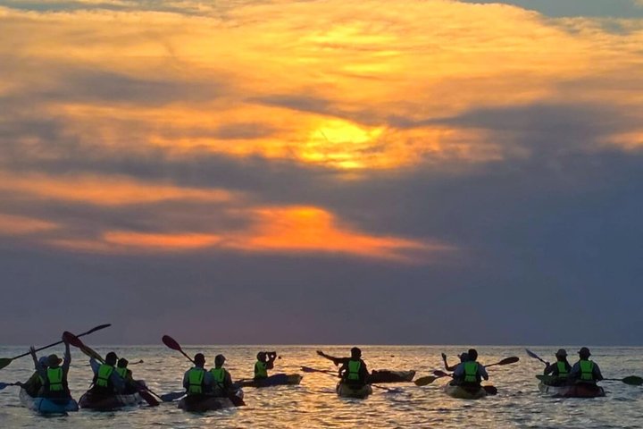 Rovinj fantastisk kajak tur-fri drikke & snorkling & spring & billeder