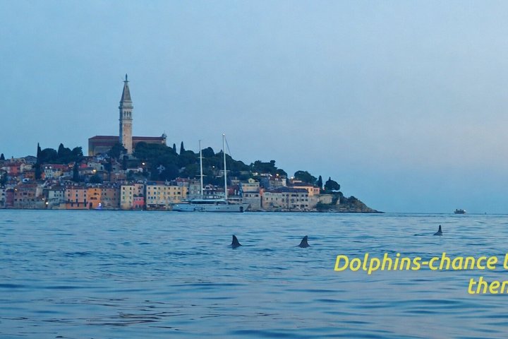 Rovinj fantastisk kajak tur-fri drikke & snorkling & spring & billeder