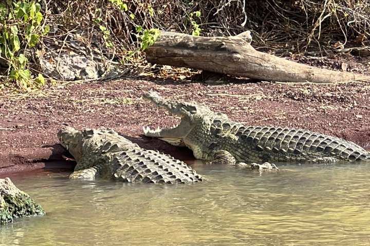 3-Day Arba Minch & Konso: Culture, Wildlife & Local Tour