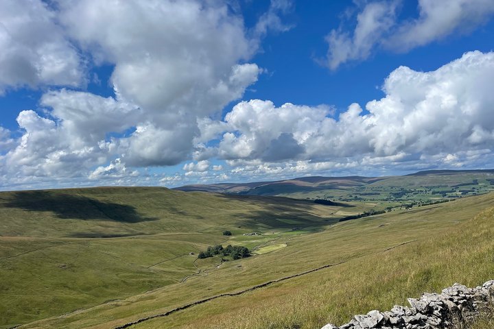 Visite privée «Toutes les créatures, grandes et petites» dans les Yorkshire Dales au départ de Harrogate