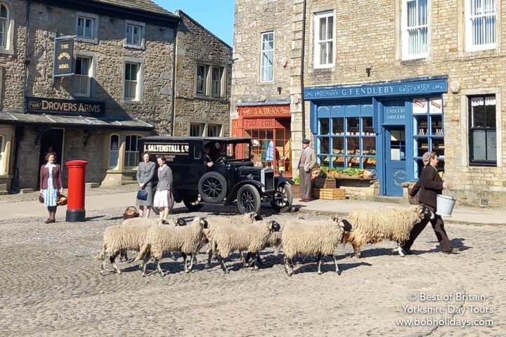 Visite privée «Toutes les créatures, grandes et petites» dans les Yorkshire Dales au départ de Harrogate