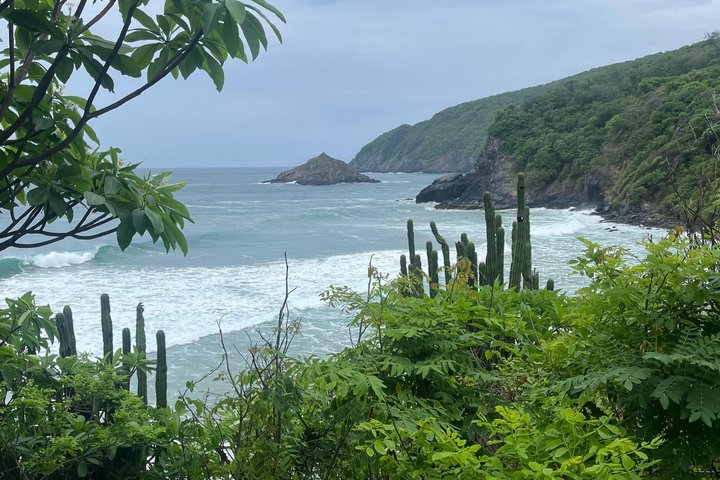 Randonnée privée dans les grottes du Tigre et visite de la plage de Majahua