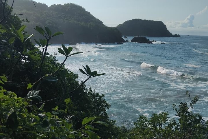 Randonnée privée dans les grottes du Tigre et visite de la plage de Majahua
