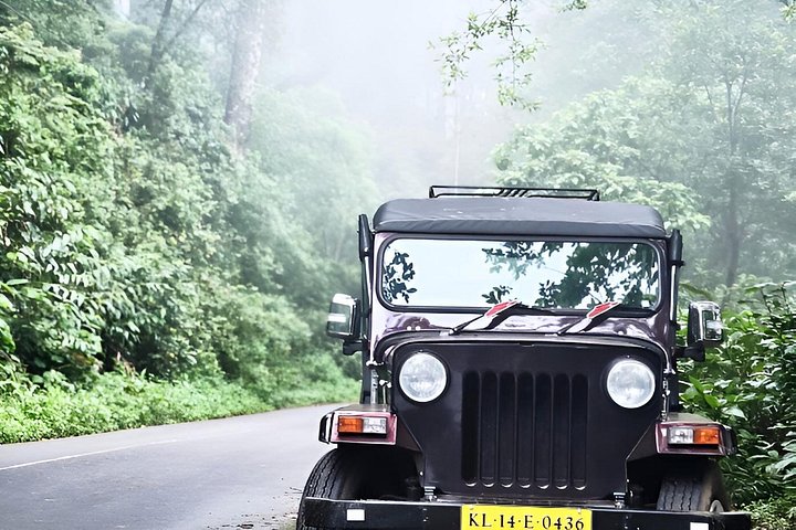 Anakulam Jeep Safari Tour med vandfald og vilde elefanter