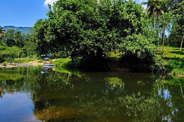 Anakulam Jeep Safari Tour med vandfald og vilde elefanter