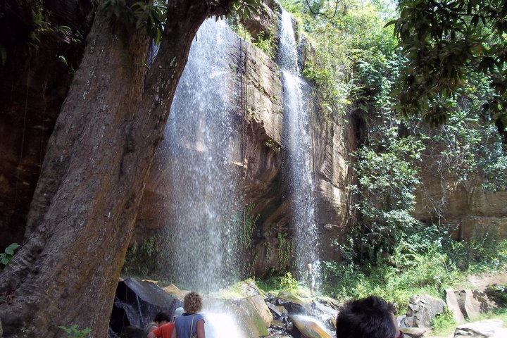 Día Completo Shimba Hills Safari Wildlife y Sheldrick Falls