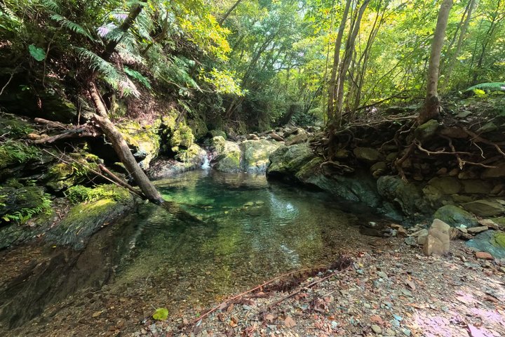 Okinawa Jungle Trails & Watervallen – Privétour door Yanbaru